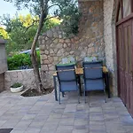 Veni Up * סטאריגרד-פקלניצה