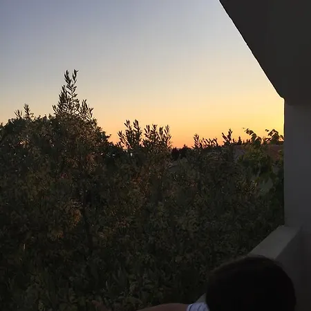 Apartment Veni Up