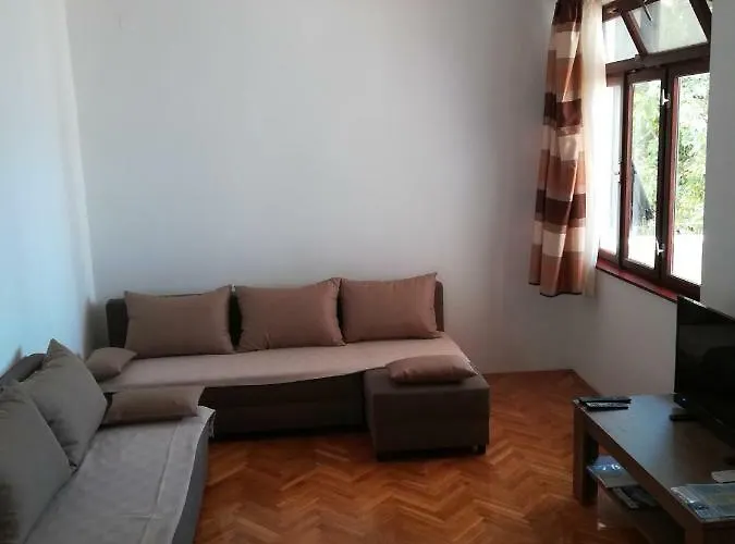 Veni Up * Стариград-Пакленица